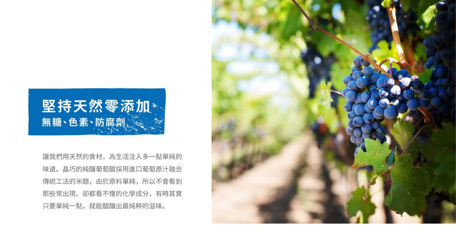 葡萄醋料理,葡萄醋做法,葡萄醋,葡萄醋食譜,葡萄醋推薦,水果醋,巴沙米可醋,果醋,晶巧飲食坊,北極星Polestar 葡萄醋料理,葡萄醋做法,葡萄醋,葡萄醋食譜,葡萄醋推薦,水果醋,巴沙米可醋,果醋,晶巧飲食坊,北極星Polestar